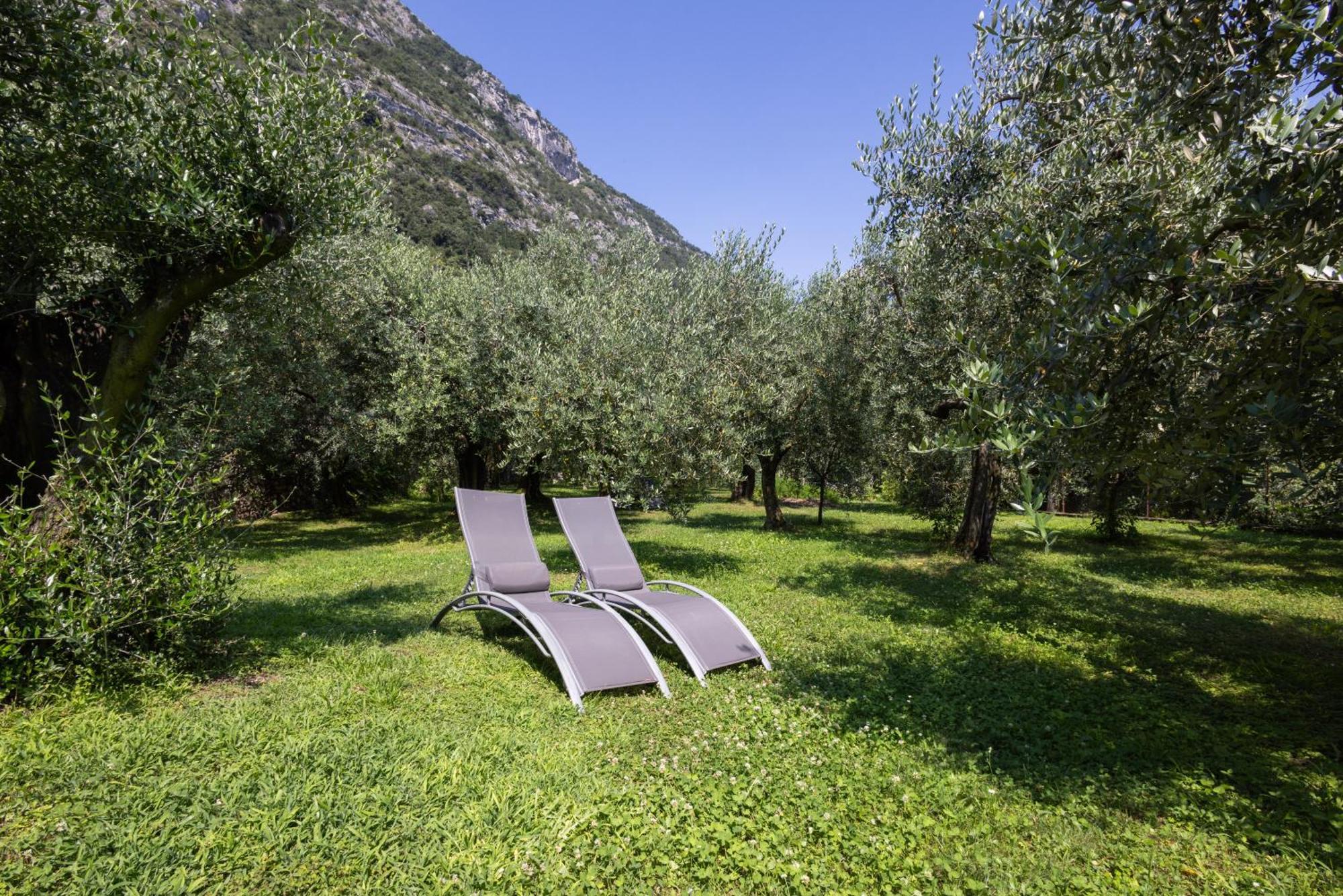 Iseolakerental - L'Uliveto Di Bea Predore Exterior photo